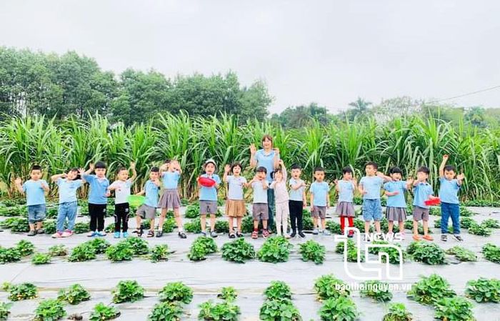 Một số trường mần non trên địa bàn đã chọn khu vườn làm nơi trải nghiệm cho học sinh