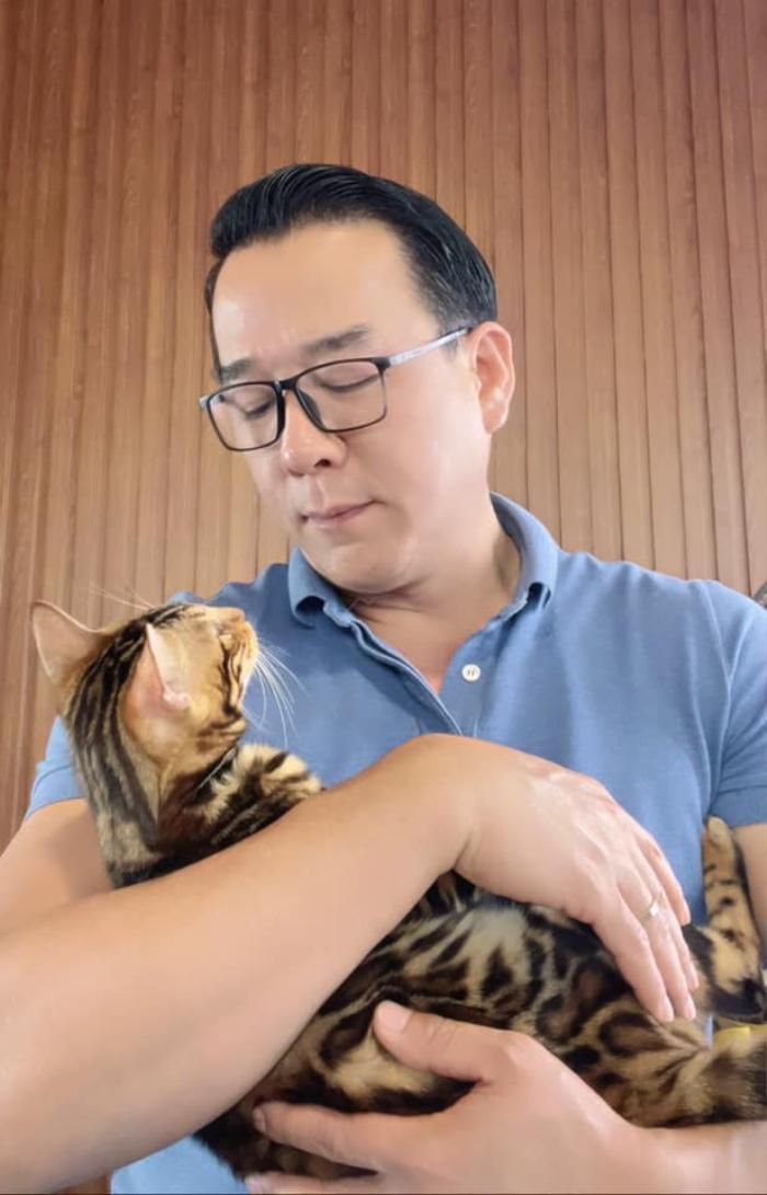 Hóa ra, "thằng Quý Mão" mà "vua cá Koi" nhắc đến là chú mèo Bengal anh mới tậu được