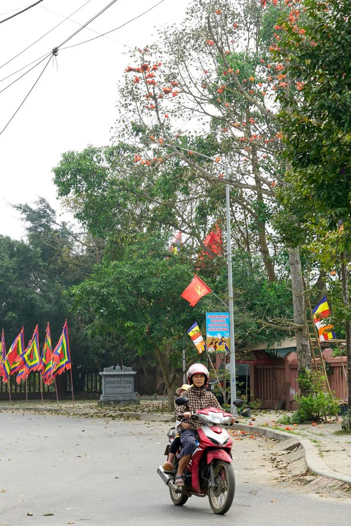 Nếu về thăm đền Hùng mùa này, du khách cũng có thể ghé qua đình Cổ Tích (xã Hy Cương, thành phố Việt Trì) ngắm cây hoa gạo đang độ bung nở bên cạnh trụ đá trước cổng đình.
