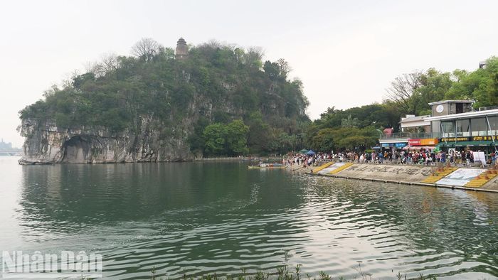 Núi Vòi voi là một điểm du lịch nằm trong lòng thành phố Quế Lâm và được coi là hình ảnh thu nhỏ của cảnh quan Quế Lâm khi có cả sông nước, núi đá, hang động. 