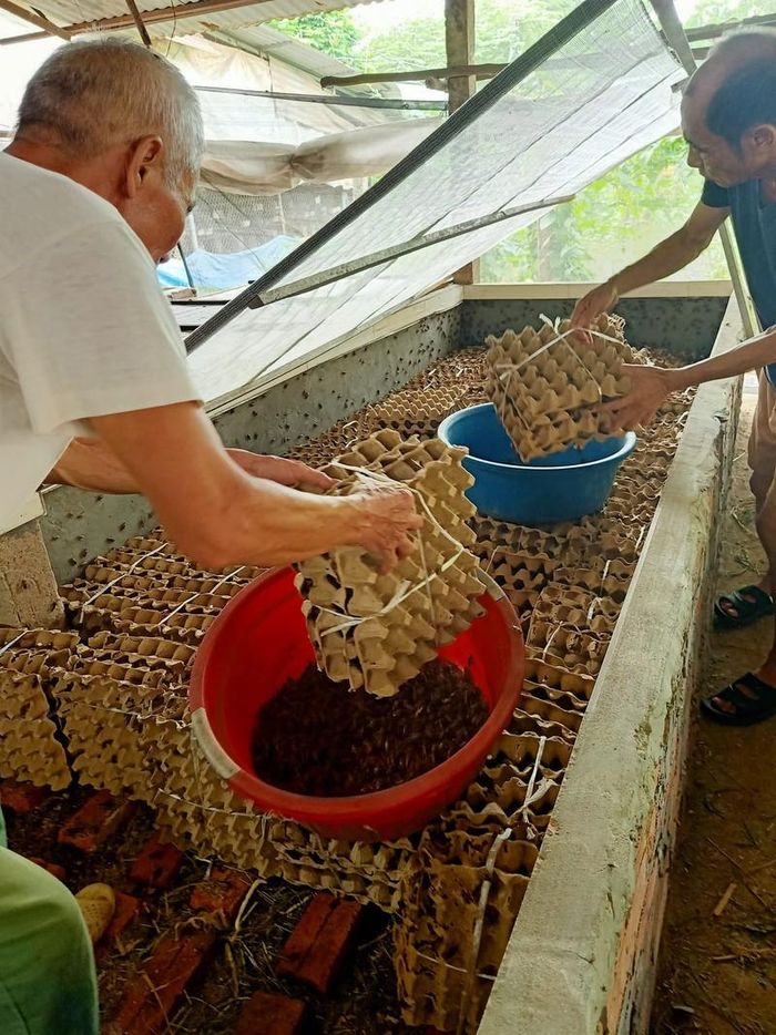 Trong một khu rừng cấm ở Bình Định có ngôi mộ cổ, thực hư chuyện người Chăm chôn kho báu?