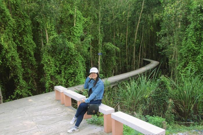 Độc đáo đường xuyên rừng tràm ở Làng nổi Tân Lập (huyện Mộc Hóa)