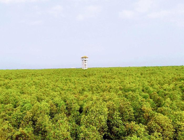 Ảnh Hiền Dương