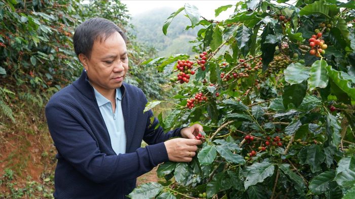Ông Phan Minh Thông, Chủ tịch Phúc Sinh Group