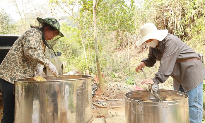  Quay mật ong bằng thiết bị chuyên dụng. 