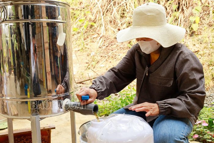  Chiết mật vào can nhựa để tiện vận chuyển. 