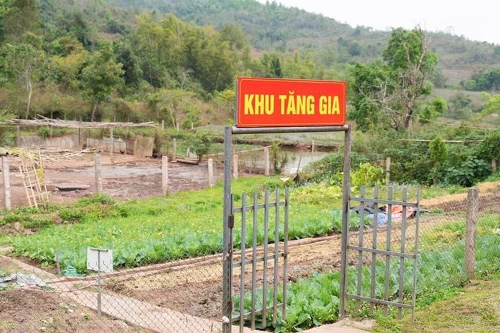 Những người lính mang quân hàm xanh của Đồn Biên phòng 317 A Pa Chải, huyện Mường Nhé, tỉnh Điện Biên tăng gia sản xuất. Ảnh: Vũ Đạo
