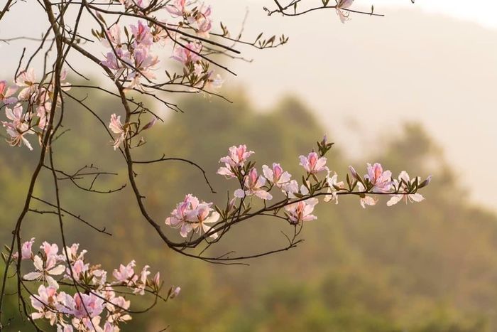 Những nỗ lực đóng góp của bộ đội biên phòng 317 A Pa Chải đã làm thay đổi đời sống bà con ở miền biên viễn xa xôi của tổ quốc. Ảnh: Vũ Đạo