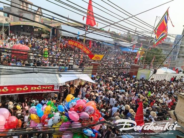 Lê hội Cầu Ngư là một trong những lễ hội lớn nhất vùng ven biển xứ Thanh: Ảnh: Đình Minh