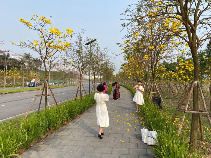 Cuối tuần, nhiều người dân kéo về chụp ảnh. Ảnh: VĂN PHÚC