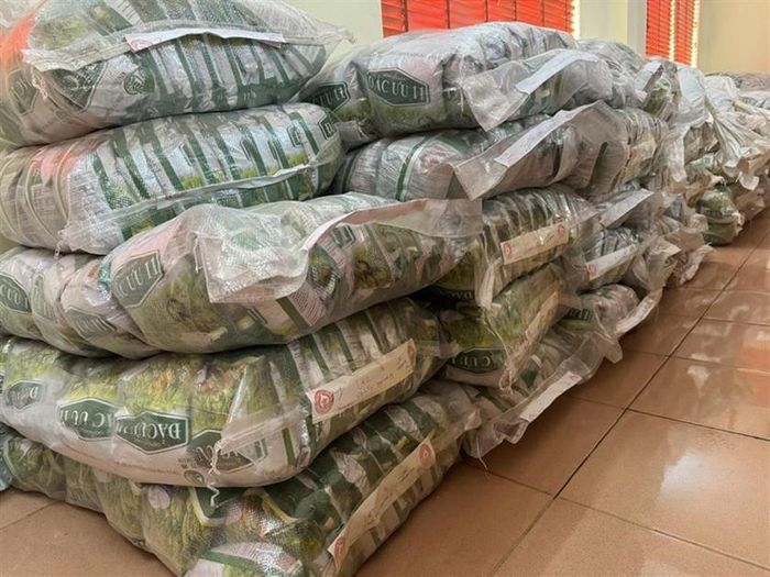 Cơ quan Cảnh sát điều tra đã truy tìm, truy thu được 3.516 kg thóc giống giả.