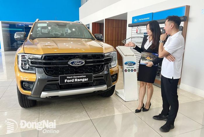 Khách hàng tham khảo các mẫu xe tại một đại lý ở thành phố Biên Hòa. Ảnh: Hải Quân