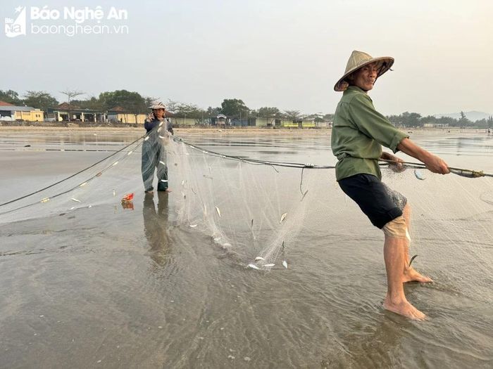  Cá mắc đầy lưới. Ảnh: Thanh Thủy 
