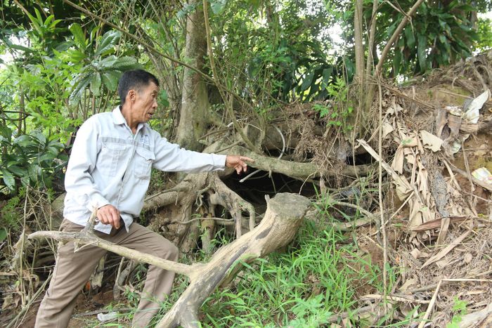 Một người dân thôn Như Lệ cho biết “hàm ếch” đã ăn sâu vào thửa đất của gia đình.