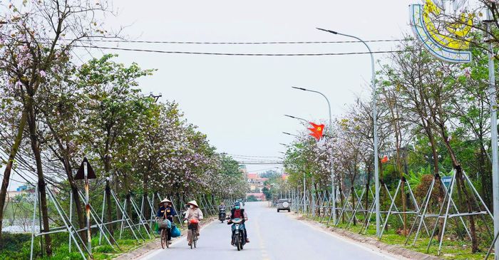 Xây dựng huyện Thanh Trì ngày càng giàu đẹp, văn minh. Ảnh: Hương Giang.