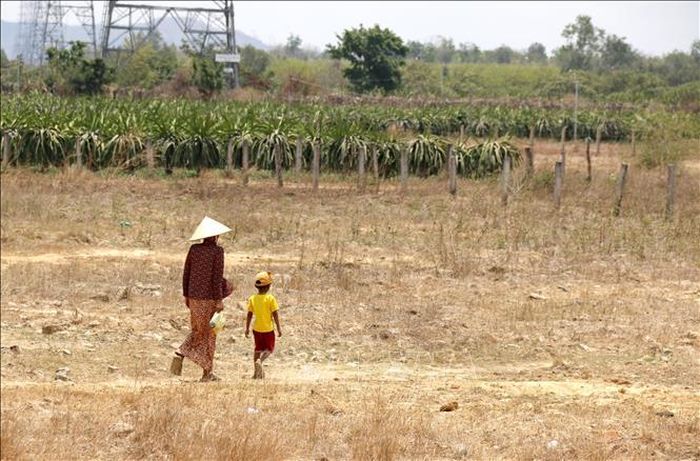 Hai bà cháu người dân tộc Rai, xã Hàm Cần (Hàm Thuận Nam, Bình Thuận) đi mua nước giữa trưa nắng.