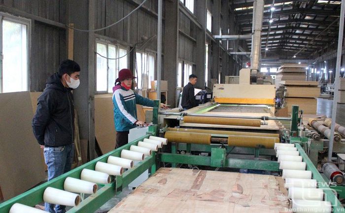 Hoạt động sản xuất tại Công ty TNHH Ván ép Việt Bắc, phường Phú Xá.