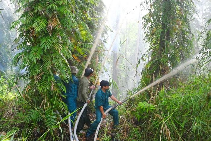 Lực lượng vận hành máy bơm, diễn tập phòng cháy, chữa cháy rừng tại Vườn Quốc gia U Minh Hạ.