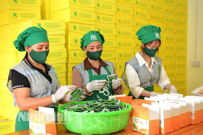 Quy trình đóng gói sản phẩm tại Công ty TNHH MTV Bảo Sơn Food tạo việc làm cho 13 lao động