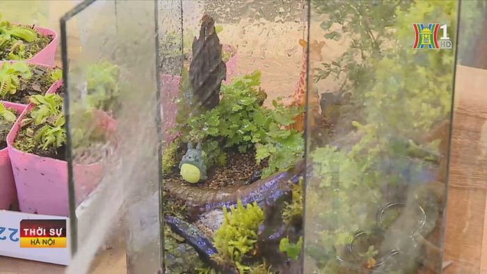 Terrarium mang tính nghệ thuật, được tạo ra từ tình yêu, sự đam mê, sáng tạo, tỉ mỉ của những người yêu thiên nhiên.