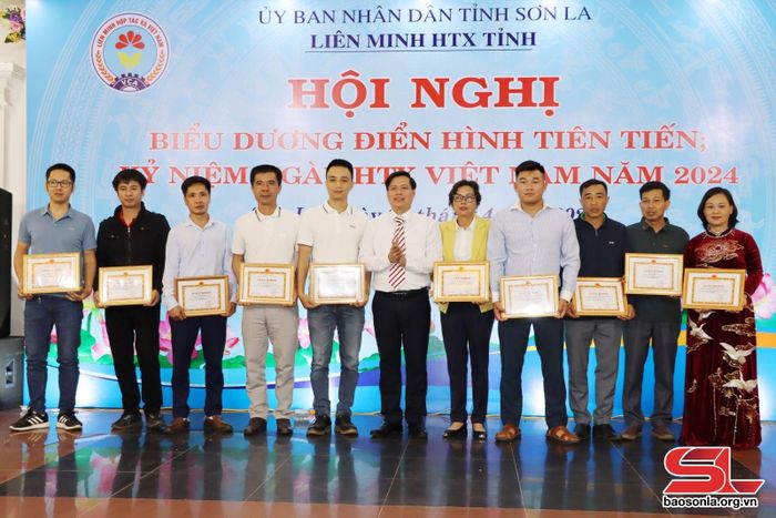 Các tập thể nhận giấy khen của Liên minh HTX tỉnh.