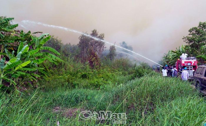 Cùng với lực lượng tại chỗ, Phòng Cảnh sát Phòng cháy chữa cháy và Cứu nạn cứu hộ (Công an tỉnh) đã kịp thời tăng cường nhân lực, phương tiện tiếp viện ngăn chặn việc cháy lan.