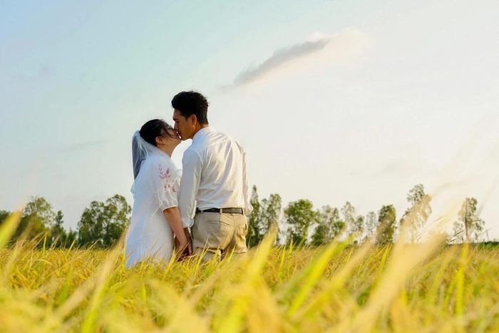 Những cánh đồng lúa trải dài: Đón bình minh trên cánh đồng lúa xanh mướt, trải dài; ngắm giọt sương sớm long lanh đọng trên lá; hít hà không khí trong lành của làng quê hay thả mình bên bờ đê khi hoàng hôn dần buông đều là trải nghiệm khó quên trong chuyến nghỉ dưỡng Ba Tri của du khách. Vào mùa lúa chín, bạn còn có thể thử tham gia gặt lúa cùng người dân địa phương.