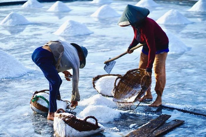 Cánh đồng muối Bảo Thạnh: Đến thăm xã Bảo Thạnh, du khách không khỏi ngạc nhiên khi chiêm ngưỡng khung cảnh cánh đồng muối trắng xóa trải dài ở một tỉnh Tây Nam Bộ tưởng chừng chỉ có sông nước, vườn trái cây. Cái nắng hanh khô vùng ven biển càng tôn lên nét đẹp lao động hăng say của những diêm dân đã gắn bó với nghề làm muối hàng chục năm.