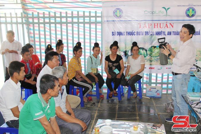 Tập huấn sử dụng thuốc bảo vệ thực vật trách nhiệm, an toàn, hiệu quả cho nông dân xã Hát Lót, huyện Mai Sơn.
