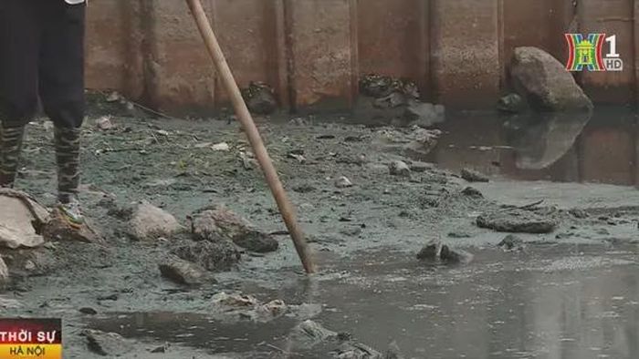Bùn chiếm khoảng 3/4 trong nước.