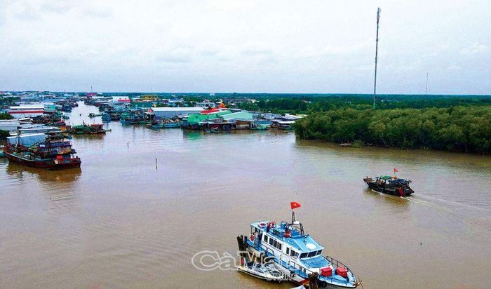 Các phương tiện khai thác tại cửa biển Cái Ðôi Vàm được kiểm soát chặt chẽ trong quá trình ra vào cửa.
