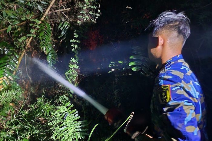 Từ đầu mùa khô đến nay, trên địa bàn tỉnh Kiên Giang đã xảy ra 14 vụ cháy rừng