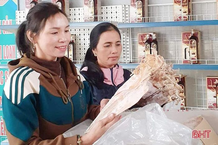 Mực khô Hà Tĩnh là một trong những đặc sản làm quà được du khách lựa chọn.