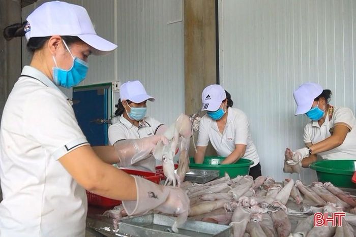 Để làm món mực khô hoặc mực 1 nắng, đòi hỏi người chế biến phải tỉ mẩn trong từng công đoạn.