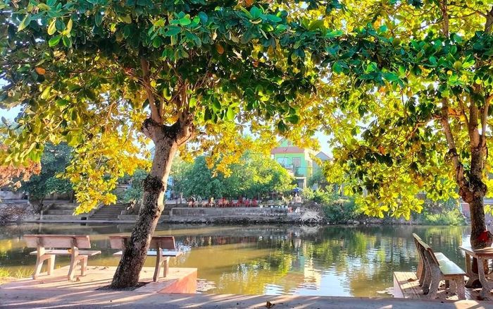Trôổng nào cũng có một bến nước, trồng ngô đồng hoặc bàng, đặt ghế đá như công viên. (Ảnh Nguyễn Thế Thịnh)