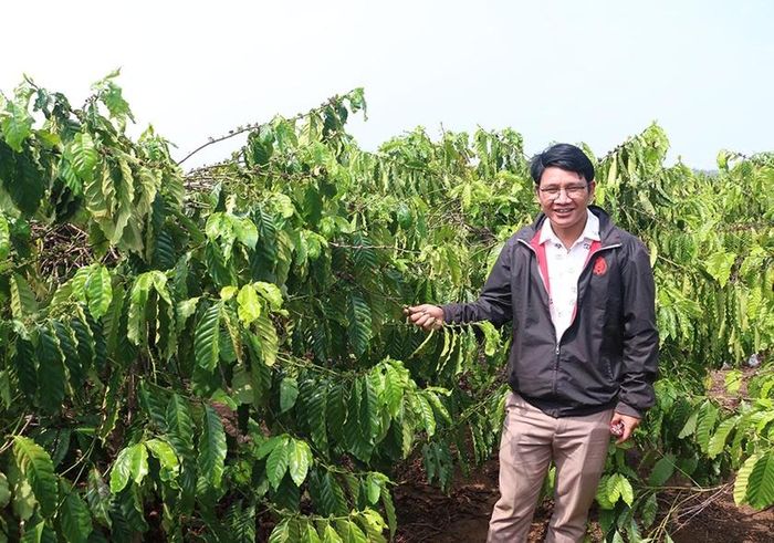 Đời sống kinh tế gia đình anh Rmah Chê (làng Kjai Tăng) ngày càng ổn định. Ảnh: Q.T