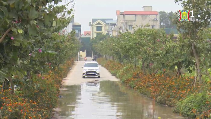 Một tuyến đường không còn cảnh nhếch nhác và ô nhiễm vì rác thải.