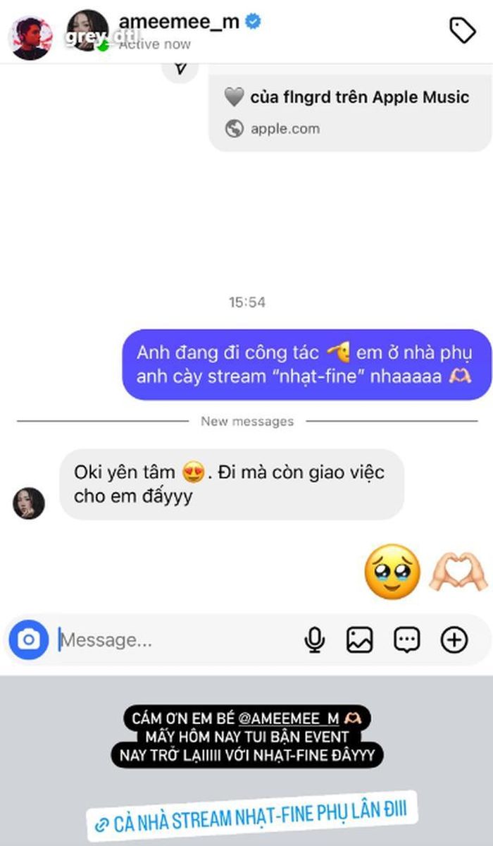 GREY D cũng không quên dặn dò AMEE: "Anh đang đi công tác xa, em ở nhà phụ anh cày stream nhạt-fine nha.".