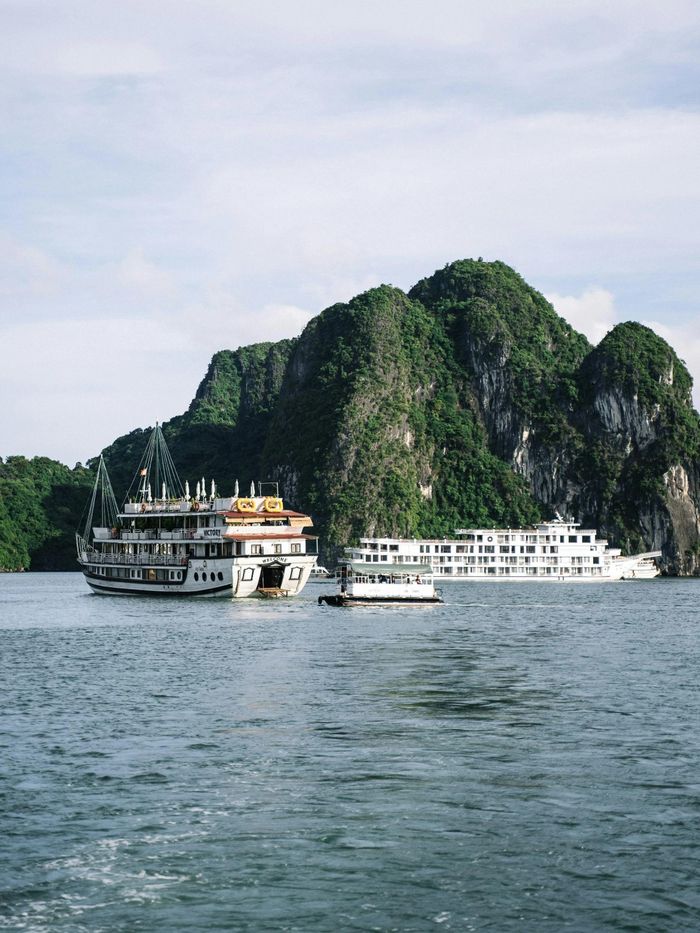 Việt Nam sở hữu nhiều cảnh quan đẹp, ẩm thực phong phú giúp thu hút du khách quốc tế. Ảnh: Long Photo, Thế Vinh Flute, Hiep Nguyen, Anntarazevich/Pexels.