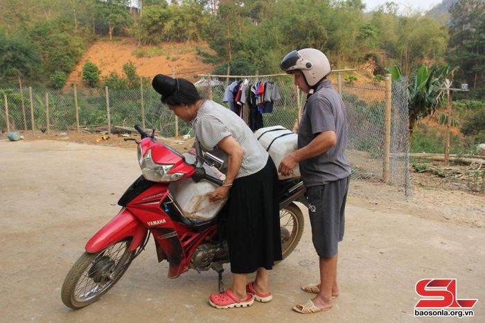 Nhiều hộ phải sử dụng can lấy nước về phục vụ sinh hoạt hằng ngày.