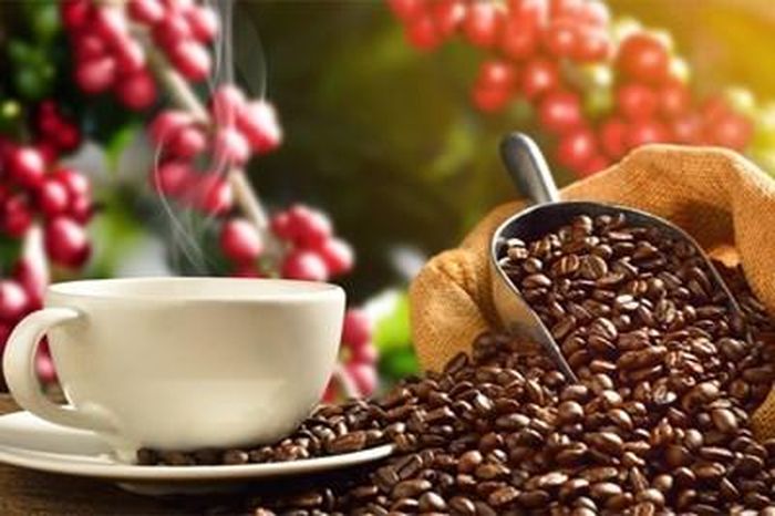 Giá cà phê hôm nay 21-4 tăng mạnh. Ảnh minh họa: thoibaotaichinhvietnam.vn