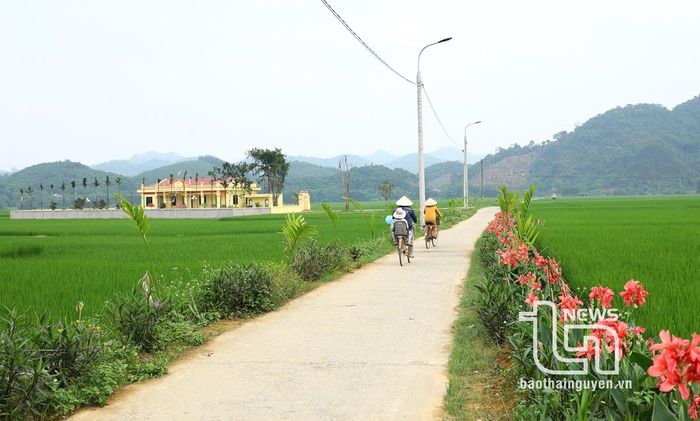 100% các xã trên địa bàn huyện có nhà văn hóa xã, xóm, sân thể thao đạt chuẩn theo quy định, 96,9% xóm, tổ dân phố đạt khu dân cư văn hóa. Ảnh: Con đường phong quang, sạch đẹp dẫn vào nhà văn hóa xóm 2, xã Tân Dương.
