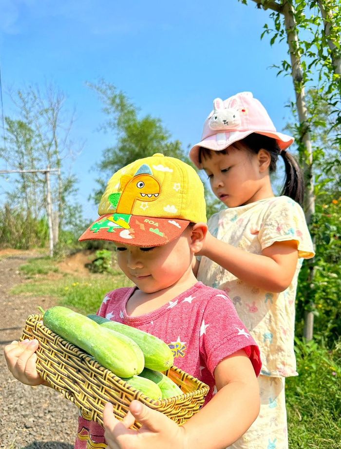 Con gái và con trai chị Thảo thích thú thu hoạch thành quả lao động cùng mẹ, thoải mái chạy nhảy khắp vườn