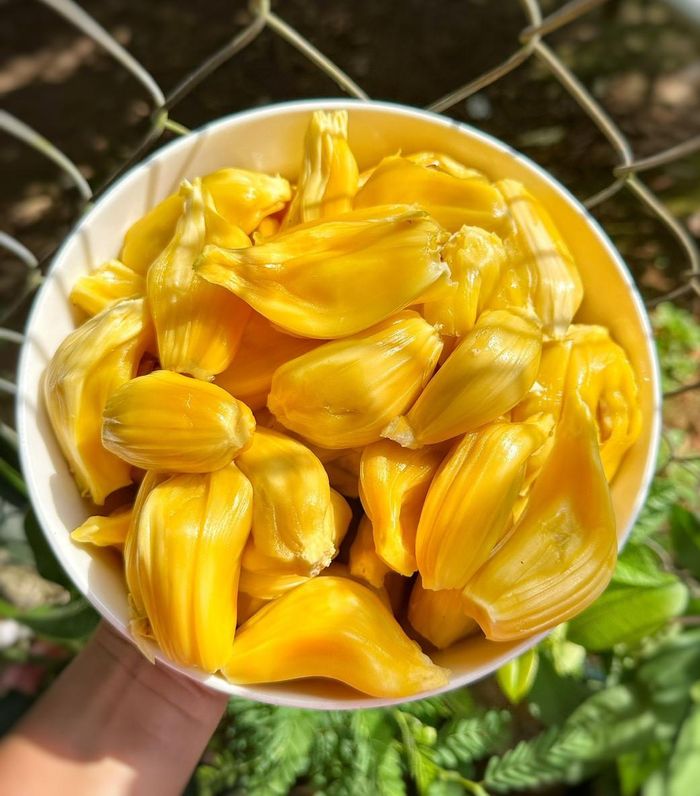 Trong vườn có nhiều loại cây ăn quả như xoài, ổi, chuối, chanh dây...., đủ để gia đình 4 thành viên có nguồn trái cây sạch thưởng thức thường xuyên