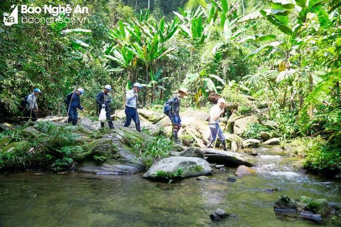  Đoàn khảo sát của Sở Du lịch khảo sát tuyến đường đi bộ trong rừng nguyên sinh Pù Mát. Ảnh: Đình Tuyên 