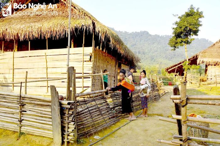  Hiện nay, trong vùng lõi Vườn quốc gia Pù Mát vẫn còn 200 hộ người dân Đan Lai sinh sống, song chưa được giao đất ở và đất sản xuất. Trong ảnh: Bản Búng, xã Môn Sơn có 100% đồng bào Đan Lai sinh sống, hầu hết các gia đình đang sống trong những ngôi nhà bằng tre, mét tạm bợ. Ảnh: Hoài Thu 
