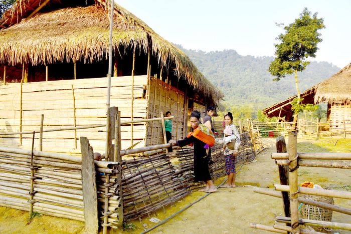  Hiện nay, trong vùng lõi Vườn quốc gia Pù Mát vẫn còn 200 hộ người dân Đan Lai sinh sống, song chưa được giao đất ở và đất sản xuất. Trong ảnh: Bản Búng, xã Môn Sơn có 100% đồng bào Đan Lai sinh sống, hầu hết các gia đình đang sống trong những ngôi nhà bằng tre, mét tạm bợ. Ảnh: Hoài Thu 