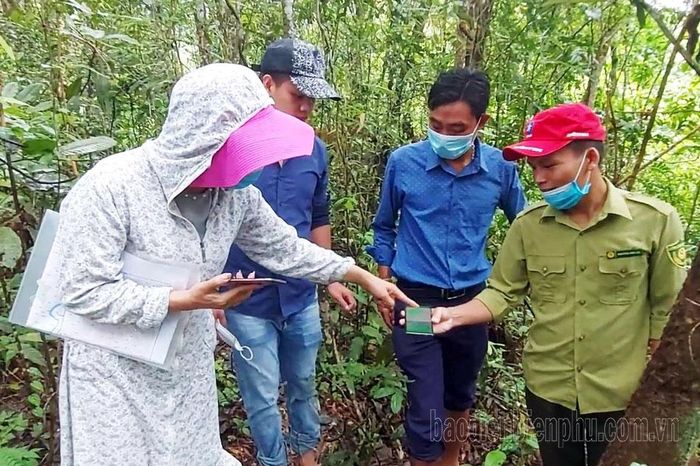 Cơ quan chức năng cùng lực lượng kiểm lâm rà soát diện tích rừng để thực hiện chi trả DVMTR trên địa bàn huyện Mường Nhé.