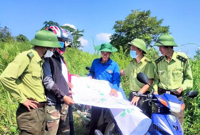 Lực lượng kiểm lâm huyện Điện Biên phối hợp với cơ quan chuyên môn xác minh diện tích biến động rừng để kịp thời chi trả tiền DVMTR theo đúng thực tế.