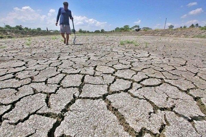  Nông dân Philippines trên cánh đồng khô hạn. Ảnh: Philstar. 